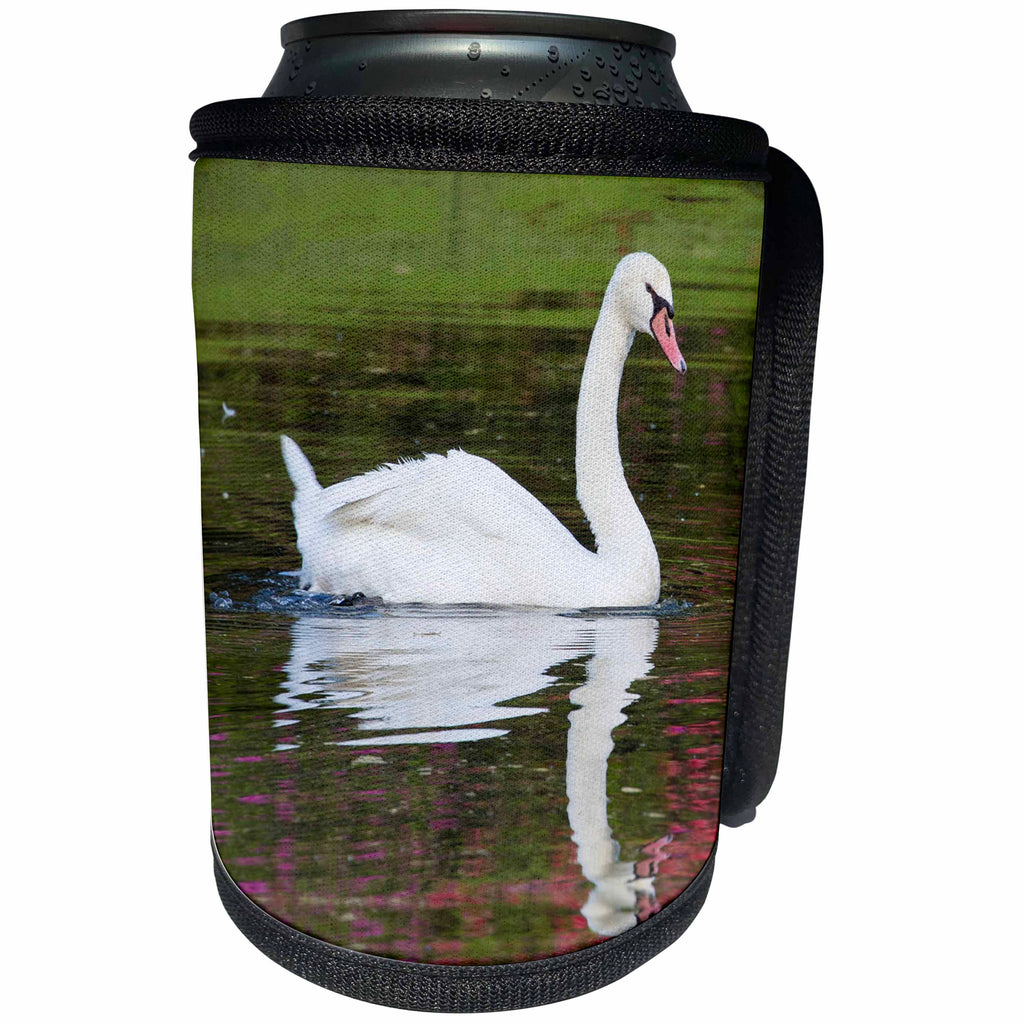 3dRose Danita Delimont - Birds - Mute Swan in small pond reflection springtime, South Carolina - Can Cooler Bottle Wrap (cc_279409)