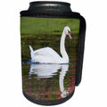3dRose Danita Delimont - Birds - Mute Swan in small pond reflection springtime, South Carolina - Can Cooler Bottle Wrap (cc_279409)
