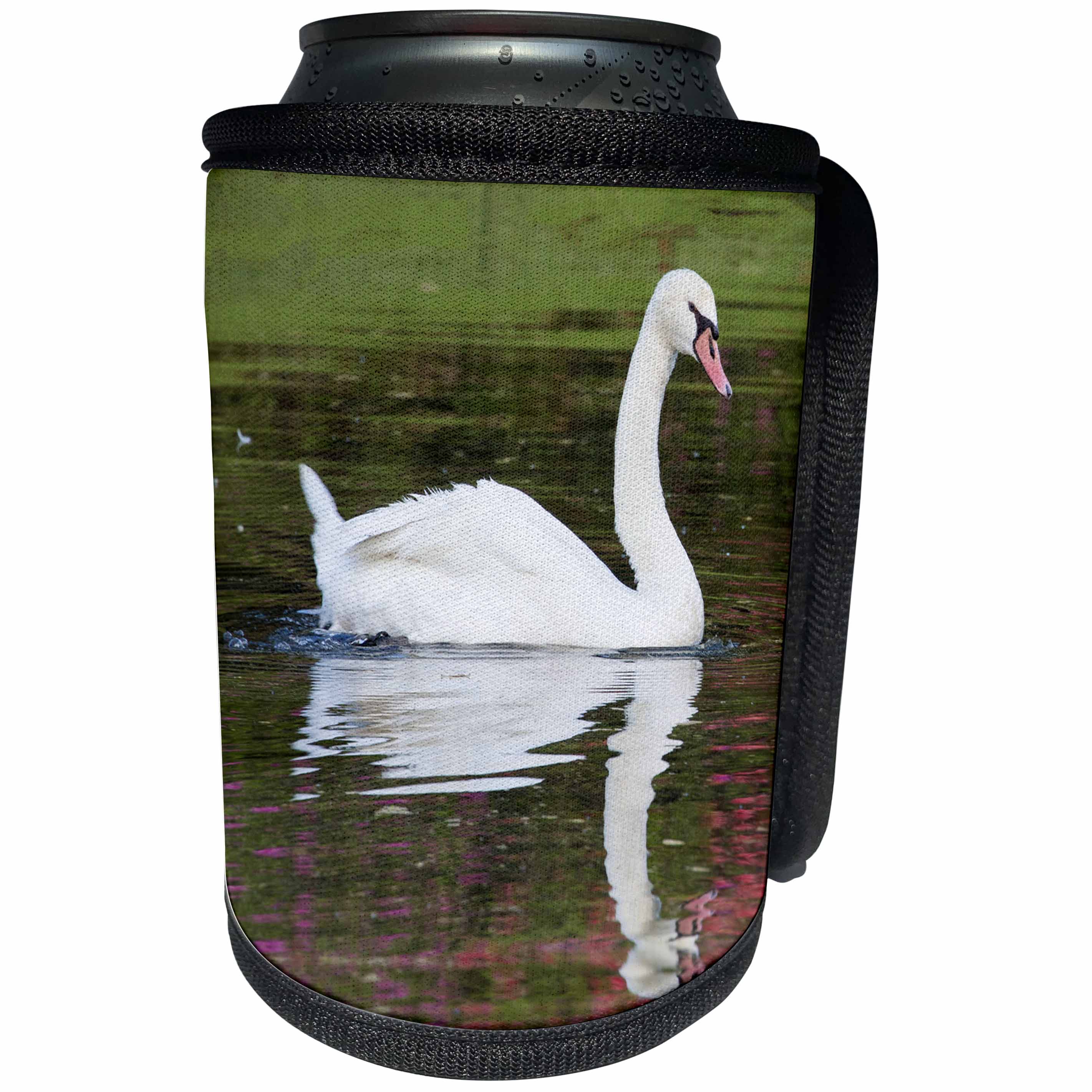 3dRose Danita Delimont - Birds - Mute Swan in small pond reflection springtime, South Carolina - Can Cooler Bottle Wrap (cc_279409)