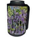 3dRose Danita Delimont - Flowers - USA, South Carolina, Charleston, Lilacs Abloom - Can Cooler Bottle Wrap (cc_279417)