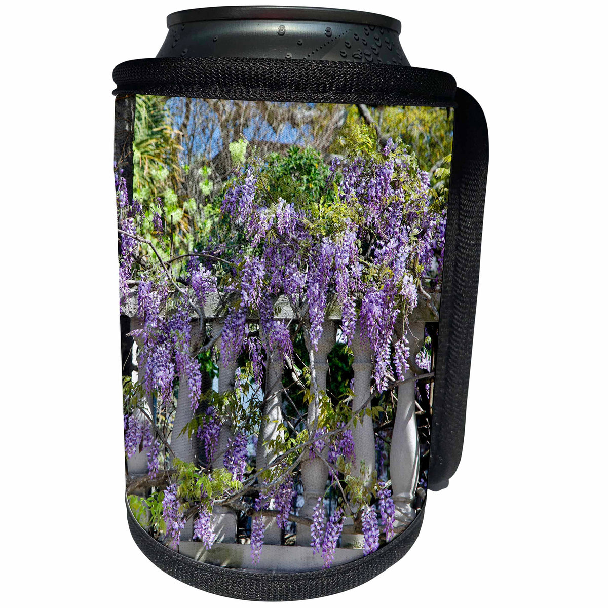 3dRose Danita Delimont - Flowers - USA, South Carolina, Charleston, Lilacs Abloom - Can Cooler Bottle Wrap (cc_279417)