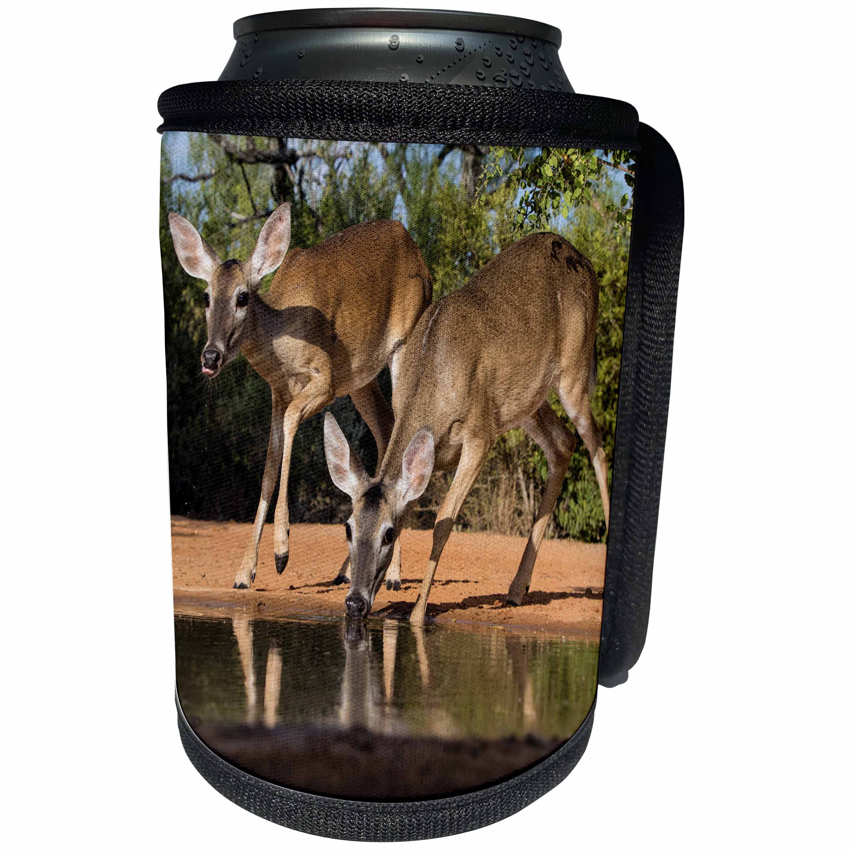 3dRose Danita Delimont - Deer - White tailed Deer doe and yearling fawn approaching water for drink - Can Cooler Bottle Wrap (cc_279502)