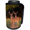 3dRose Danita Delimont - Deer - White tailed Deer bucks in autumn, Texas - Can Cooler Bottle Wrap (cc_279504)