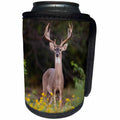 3dRose Danita Delimont - Deer - White tailed Deer buck in early autumn. - Can Cooler Bottle Wrap (cc_279505)