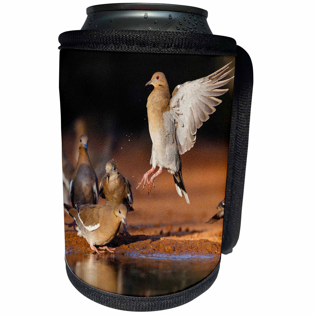 3dRose Danita Delimont - Songbirds - White winged Doves flocking to pond for afternoon drink - Can Cooler Bottle Wrap (cc_279507)