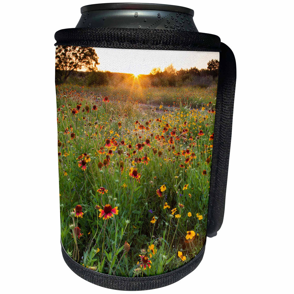 3dRose Danita Delimont - Flowers - Sunset on Texas wildflowers - Can Cooler Bottle Wrap (cc_279511)