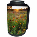3dRose Danita Delimont - Flowers - Sunset on Texas wildflowers - Can Cooler Bottle Wrap (cc_279511)
