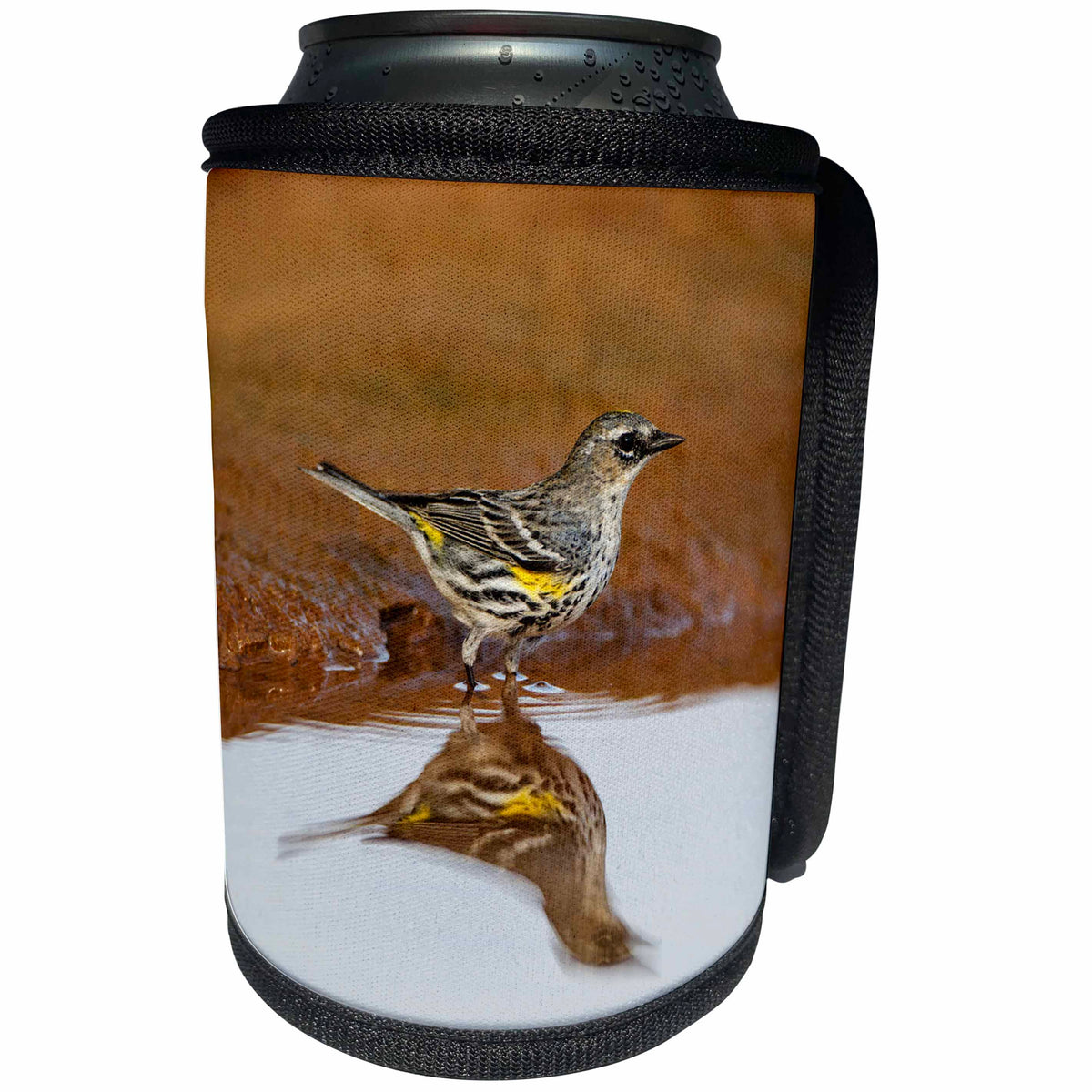 3dRose Danita Delimont - Songbirds - Yellow rumped Warbler, Dendroica coronata, adult at pond - Can Cooler Bottle Wrap (cc_279514)