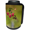3dRose Danita Delimont - Hummingbirds - Black chinned Hummingbird feeding on Fuchsia, Hill Country, Texas - Can Cooler Bottle Wrap (cc_279515)