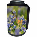 3dRose Danita Delimont - Hummingbirds - Black chinned Hummingbird feeding on Paintbrush, Hill Country, Texas - Can Cooler Bottle Wrap (cc_279516)