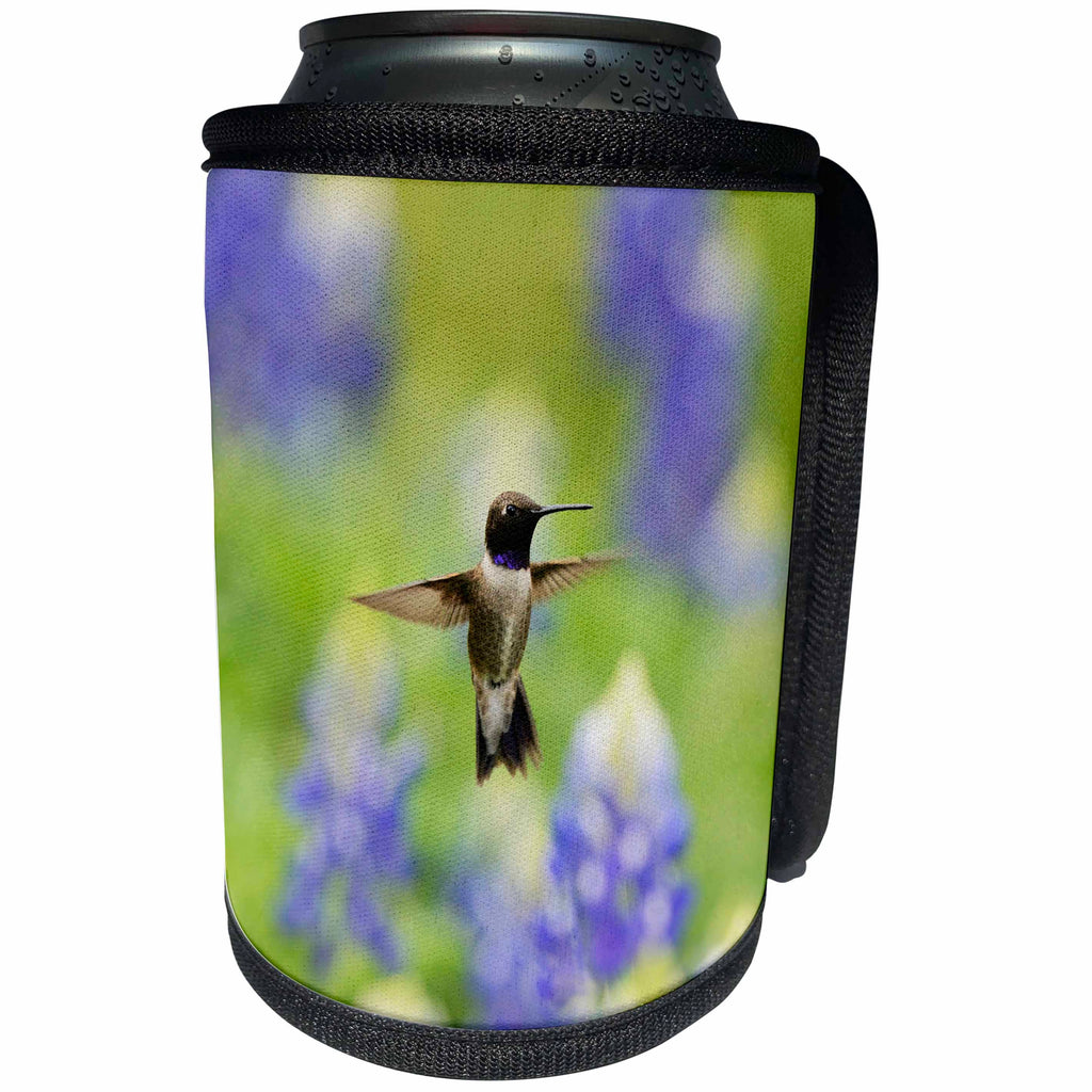 3dRose Danita Delimont - Hummingbirds - Black chinned Hummingbird flying among Bluebonnet, Hill Country, Texas - Can Cooler Bottle Wrap (cc_279517)