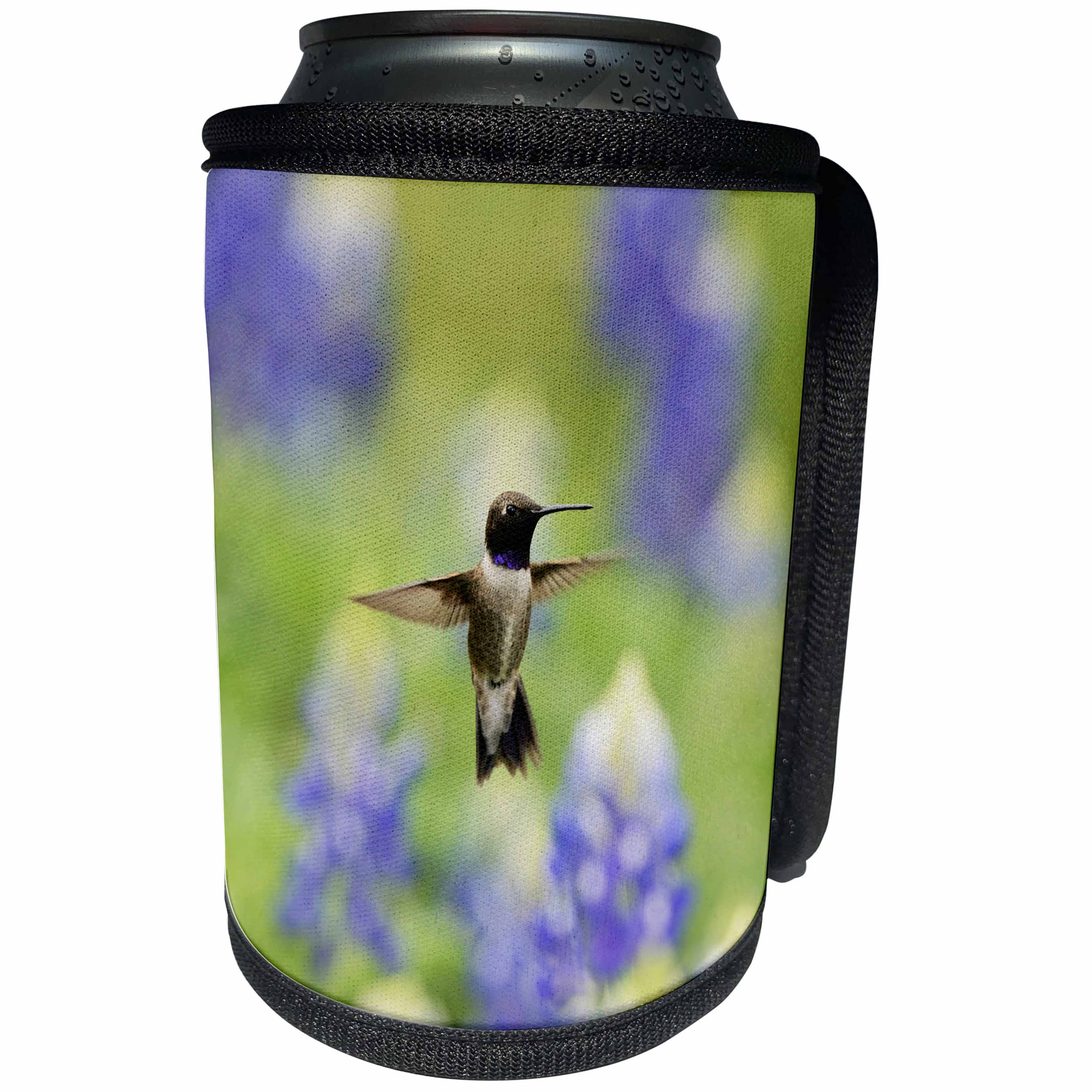3dRose Danita Delimont - Hummingbirds - Black chinned Hummingbird flying among Bluebonnet, Hill Country, Texas - Can Cooler Bottle Wrap (cc_279517)