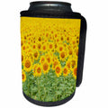 3dRose Danita Delimont - Flowers - Field of Common Sunflower in bloom, Texas, USA - Can Cooler Bottle Wrap (cc_279524)