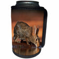 3dRose Danita Delimont - Rabbits - Eastern Cottontail adult drinking at pond, South Texas - Can Cooler Bottle Wrap (cc_279527)