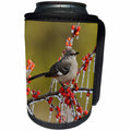 3dRose Danita Delimont - Songbirds - Northern Mockingbird adult on icy branch of Holly, Hill Country, Texas - Can Cooler Bottle Wrap (cc_279543)
