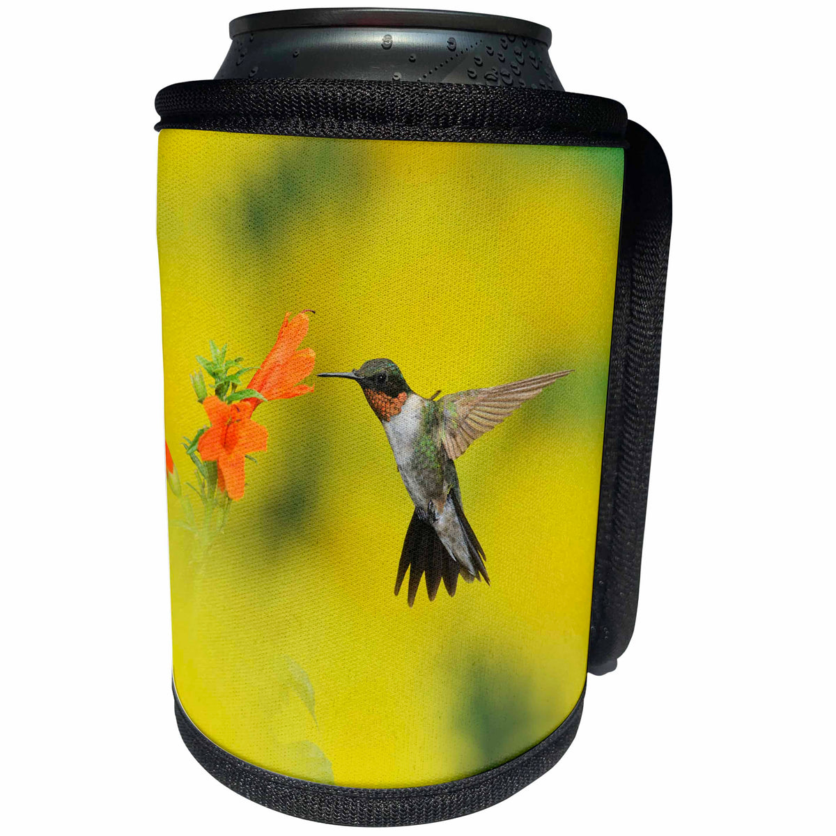 3dRose Danita Delimont - Hummingbirds - Ruby throated Hummingbird feeding at honeysuckle, Hill Country, Texas - Can Cooler Bottle Wrap (cc_279548)