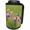 3dRose Danita Delimont - Hummingbirds - Ruby throated Hummingbird at Desert willow, Hill Country, Texas - Can Cooler Bottle Wrap (cc_279552)