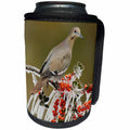 3dRose Danita Delimont - Songbirds - White winged Dove on icy branch of Yaupon Holly, Hill Country, Texas - Can Cooler Bottle Wrap (cc_279555)