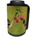3dRose Danita Delimont - Hummingbirds - Black chinned Hummingbird adult females feeding, Hill Country, Texas - Can Cooler Bottle Wrap (cc_279556)