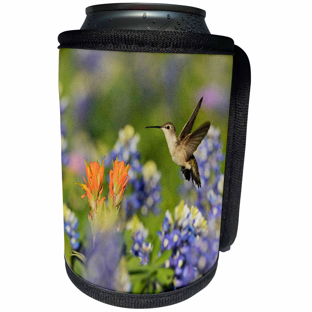 3dRose Danita Delimont - Hummingbirds - Black chinned Hummingbird flying over wildflowers, Hill Country, Texas - Can Cooler Bottle Wrap (cc_279557)