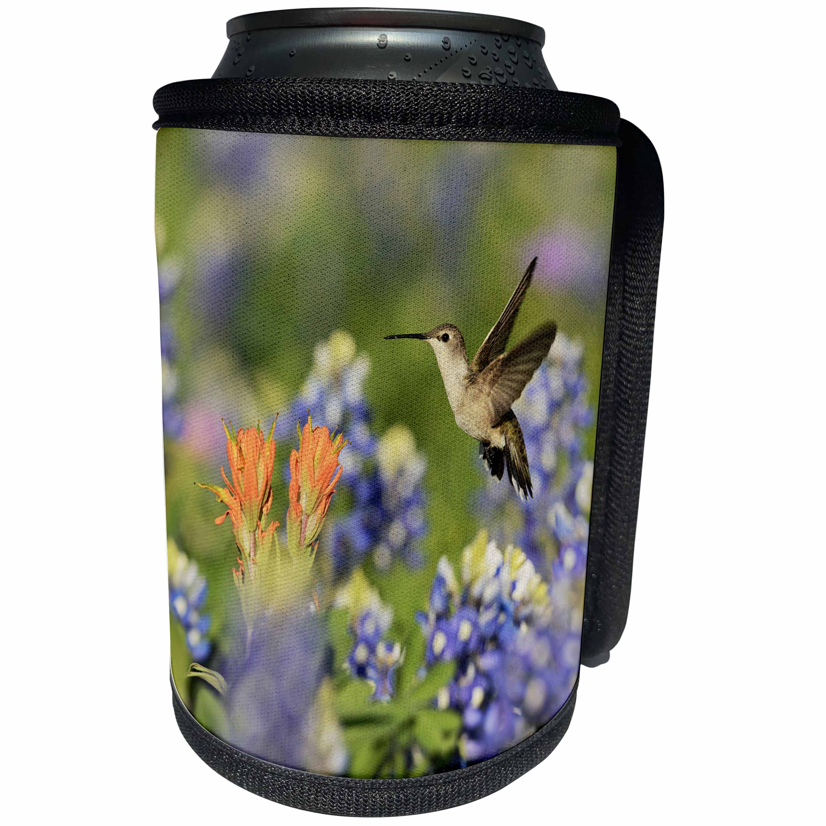3dRose Danita Delimont - Hummingbirds - Black chinned Hummingbird flying over wildflowers, Hill Country, Texas - Can Cooler Bottle Wrap (cc_279557)