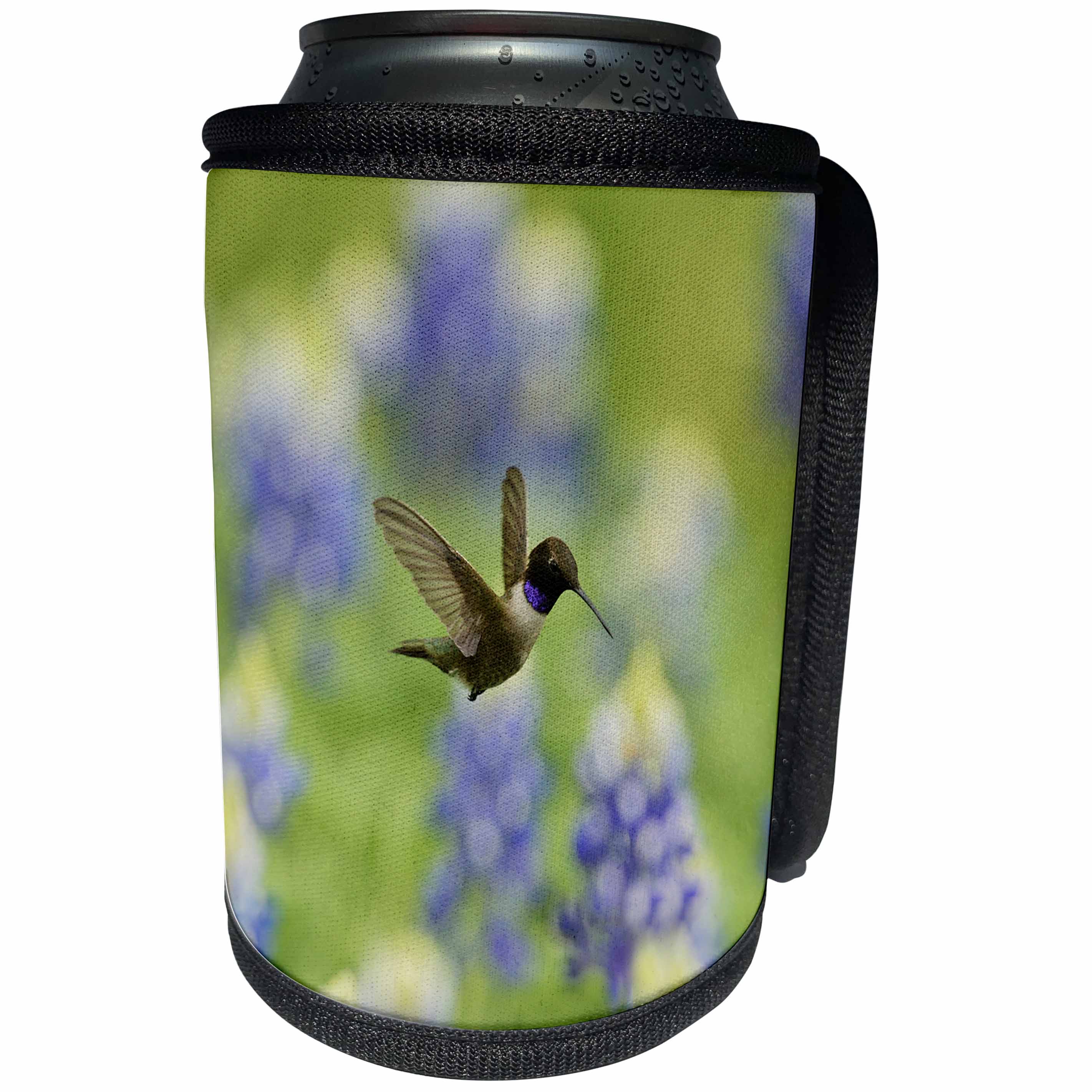 3dRose Danita Delimont - Hummingbirds - Black chinned Hummingbird flying over flowers, Hill Country, Texas - Can Cooler Bottle Wrap (cc_279558)