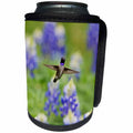 3dRose Danita Delimont - Hummingbirds - Black chinned Hummingbird among Texas Bluebonnet, Hill Country, Texas - Can Cooler Bottle Wrap (cc_279559)