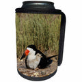 3dRose Danita Delimont - Baby animals - Black Skimmer with its chick, Port Isabel, South Padre Island, Texas - Can Cooler Bottle Wrap (cc_279562)