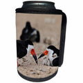 3dRose Danita Delimont - Birds - Black Skimmer adult feeding fish to young, South Padre Island, Texas - Can Cooler Bottle Wrap (cc_279563)