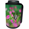 3dRose Danita Delimont - Hummingbirds - Ruby throated Hummingbird feeding on Petunias, Hill Country, Texas - Can Cooler Bottle Wrap (cc_279574)