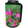 3dRose Danita Delimont - Hummingbirds - Ruby throated Hummingbird male in flight feeding, Hill Country, Texas - Can Cooler Bottle Wrap (cc_279578)