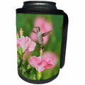 3dRose Danita Delimont - Hummingbirds - Rufous Hummingbird male on Hibiscus flower, Hill Country, Texas - Can Cooler Bottle Wrap (cc_279580)