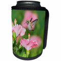 3dRose Danita Delimont - Hummingbirds - Rufous Hummingbird feeding from a Hibiscus flower, Hill Country, Texas - Can Cooler Bottle Wrap (cc_279581)