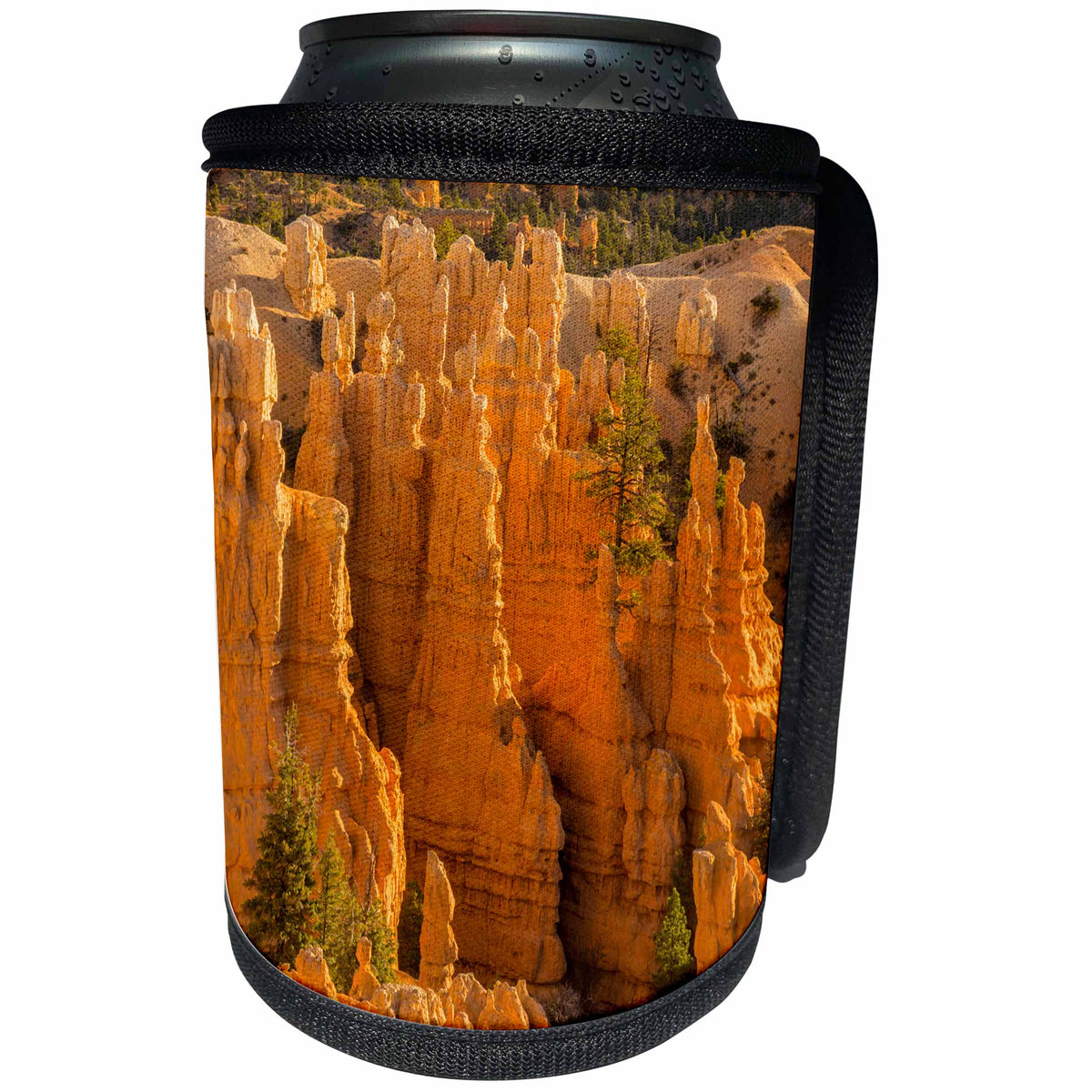 3dRose Danita Delimont - Utah - USA, Utah, Bryce Canyon National Park. - Can Cooler Bottle Wrap (cc_279594)