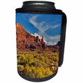 3dRose Danita Delimont - Deserts - Fisher Towers, Utah in evening light - Can Cooler Bottle Wrap (cc_279601)