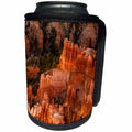 3dRose Danita Delimont - Utah - Bryce Canyon NP, Utah. Zig zag Hoodoos columns in the canyon - Can Cooler Bottle Wrap (cc_279605)