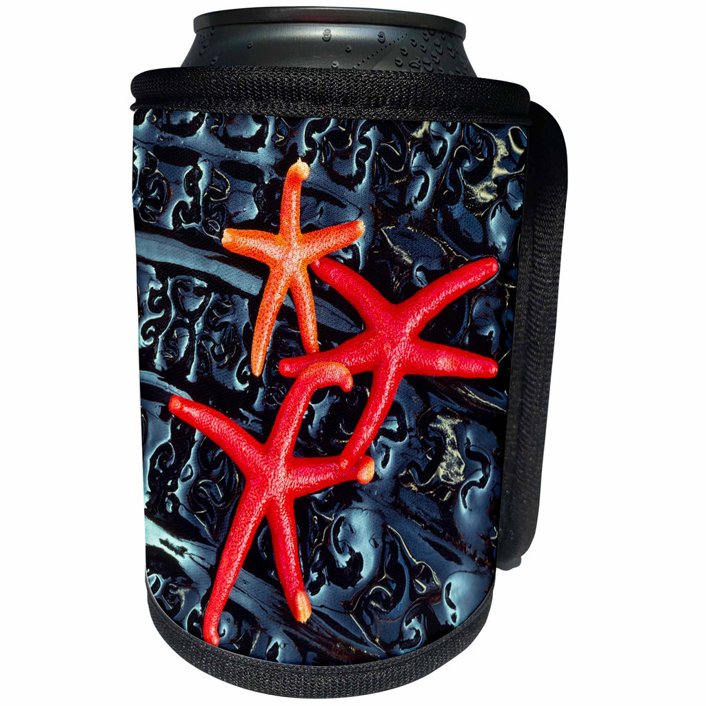 3dRose Danita Delimont - Marine life - Starfish on kelp, Washington State, USA - Can Cooler Bottle Wrap (cc_279622)