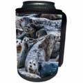 3dRose Danita Delimont - Seals - Harbor seals, Puget Sound, Washington State, USA - Can Cooler Bottle Wrap (cc_279623)