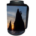 3dRose Danita Delimont - Beaches - USA, Washington State. Sunset on sea stacks at Rialto Beach. - Can Cooler Bottle Wrap (cc_279628)
