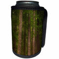 3dRose Danita Delimont - Forests - USA, Washington, Olympic NP. Western hemlock trees in rainforest. - Can Cooler Bottle Wrap (cc_279629)
