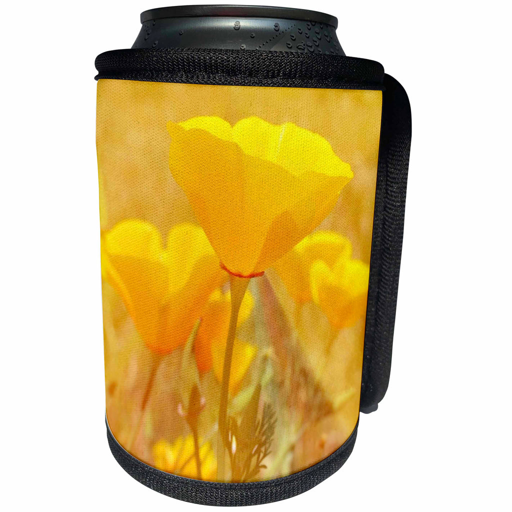 3dRose Patricia Sanders Flowers - Orange Surprise Poppies - Can Cooler Bottle Wrap (cc_27963)