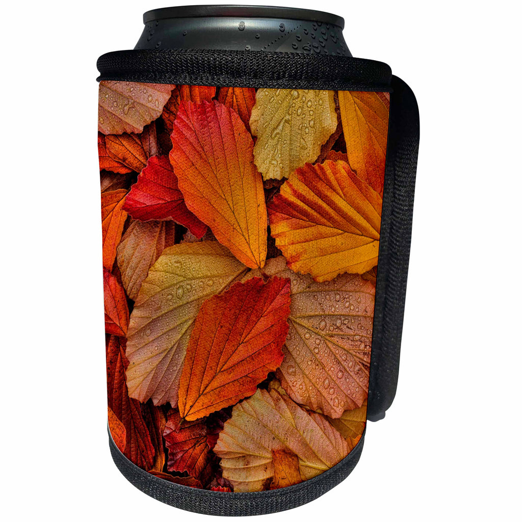 3dRose Danita Delimont - Autumn - USA, Washington State, Seabeck. Orange Witch hazel leaves in autumn. - Can Cooler Bottle Wrap (cc_279637)