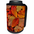 3dRose Danita Delimont - Autumn - USA, Washington State, Seabeck. Orange Witch hazel leaves in autumn. - Can Cooler Bottle Wrap (cc_279637)