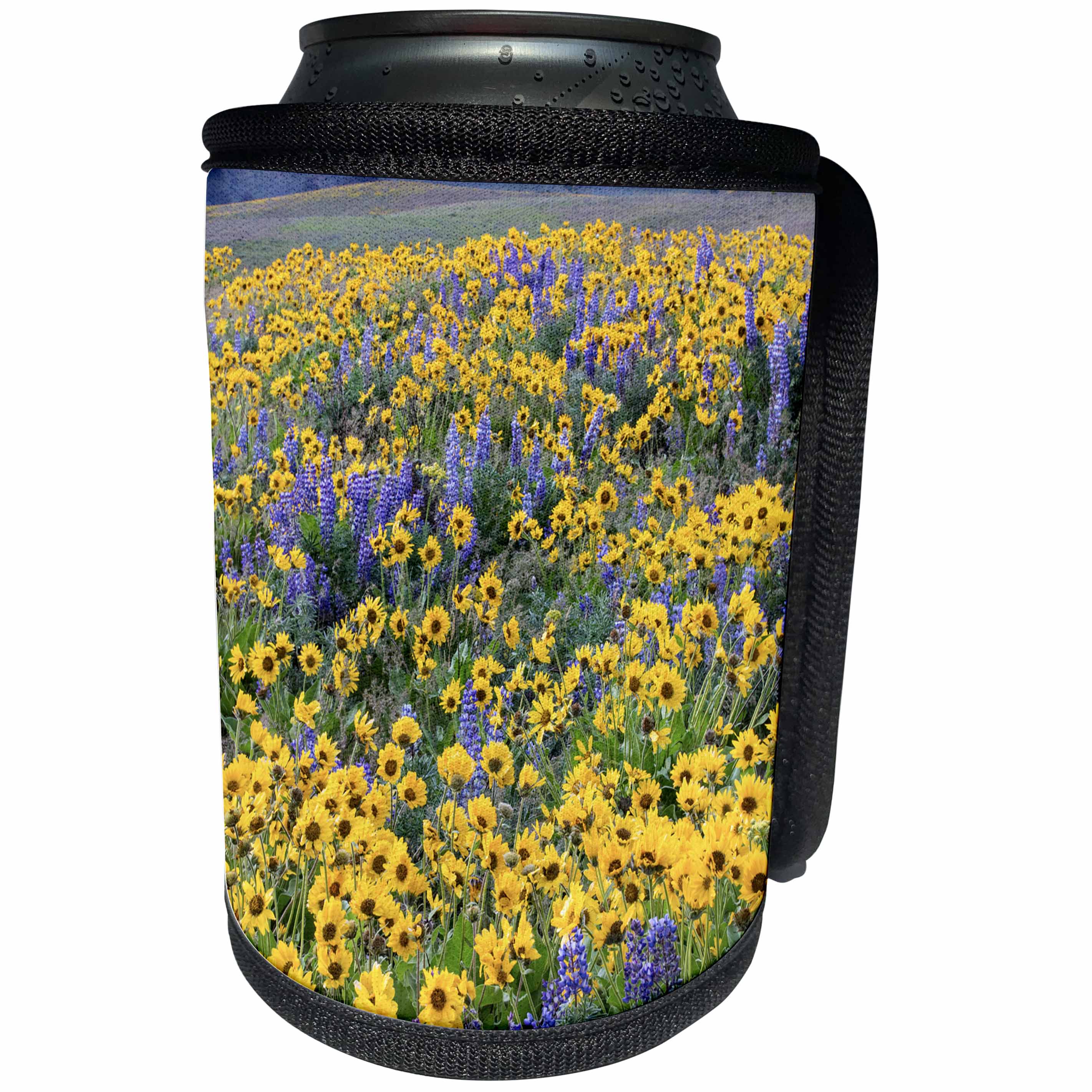 3dRose Danita Delimont - Flowers - Springtime bloom of flowers, Dalles Mountain State Park, Washington - Can Cooler Bottle Wrap (cc_279645)