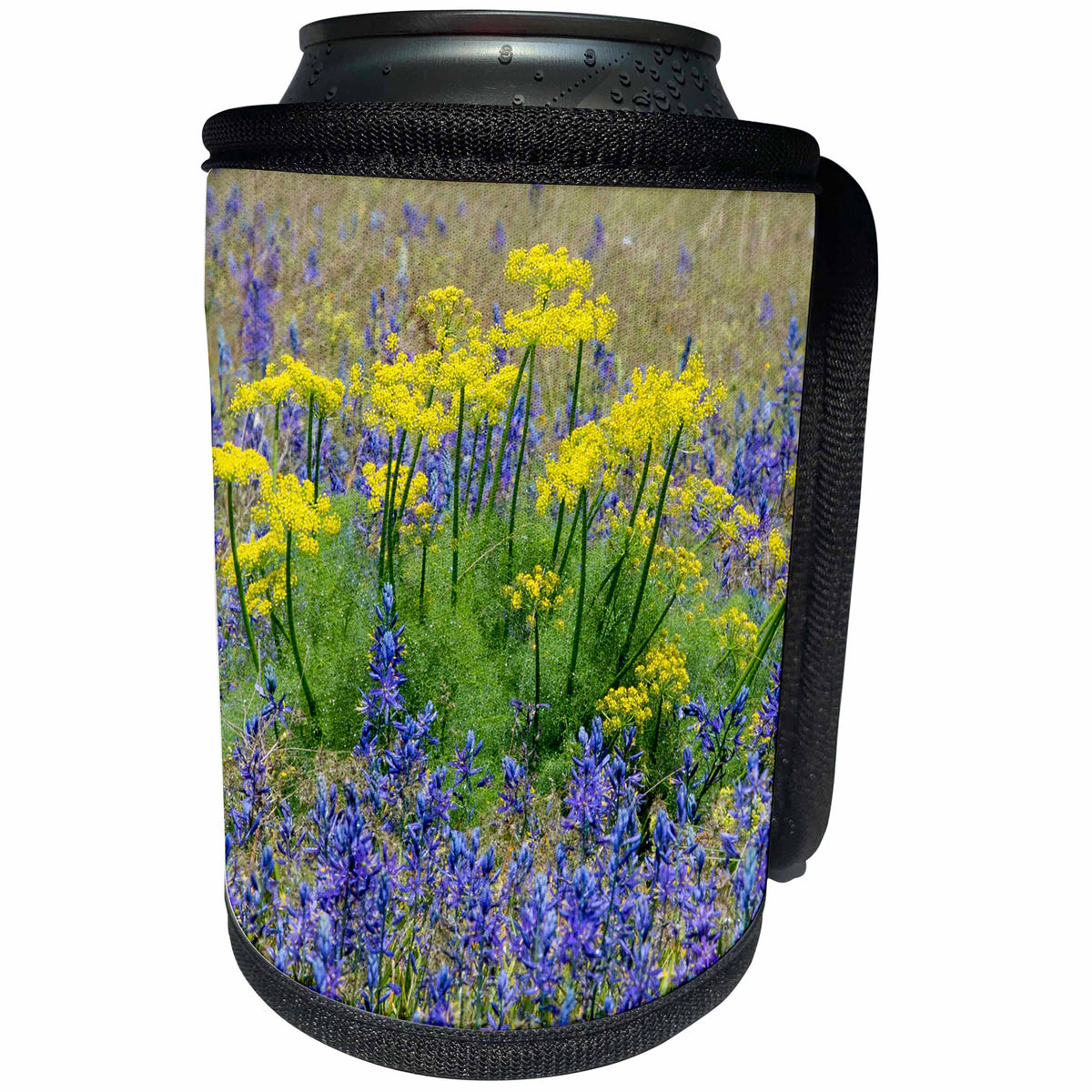 3dRose Danita Delimont - Flowers - Camas and Sweet Fennel in springtime bloom near Klickitat, Washington - Can Cooler Bottle Wrap (cc_279646)