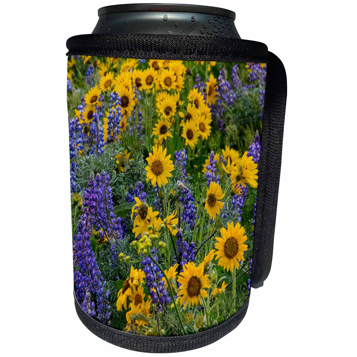 3dRose Danita Delimont - Flowers - Springtime bloom with mass fields of wildflowers, Washington - Can Cooler Bottle Wrap (cc_279647)