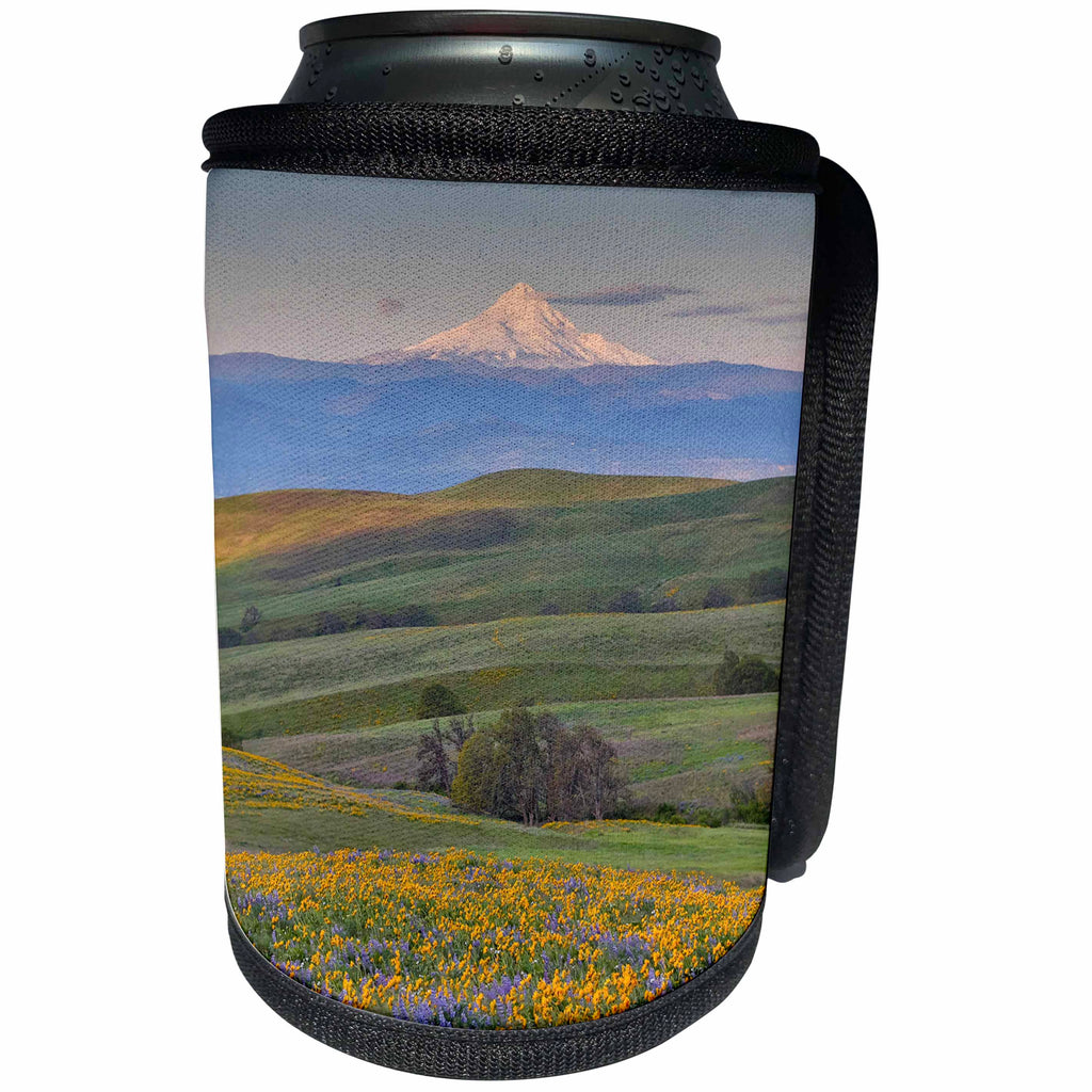 3dRose Danita Delimont - Flowers - Sunrise and Mt. Hood with spring wildflowers, Washington - Can Cooler Bottle Wrap (cc_279648)