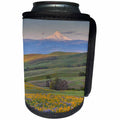 3dRose Danita Delimont - Flowers - Sunrise and Mt. Hood with spring wildflowers, Washington - Can Cooler Bottle Wrap (cc_279648)