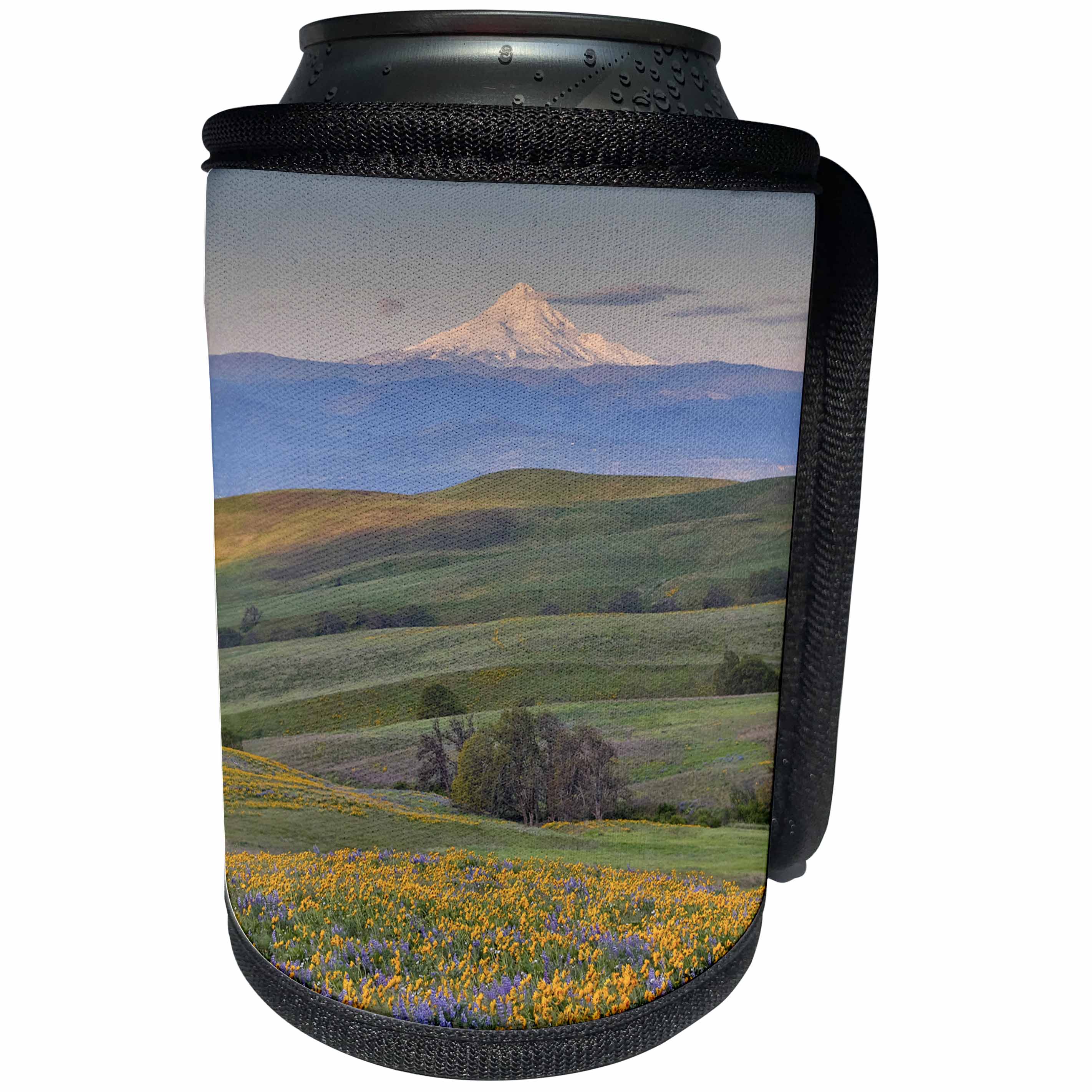 3dRose Danita Delimont - Flowers - Sunrise and Mt. Hood with spring wildflowers, Washington - Can Cooler Bottle Wrap (cc_279648)
