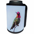 3dRose Danita Delimont - Hummingbirds - USA. Washington. Annas Hummingbird flashes his iridescent gorget. - Can Cooler Bottle Wrap (cc_279655)